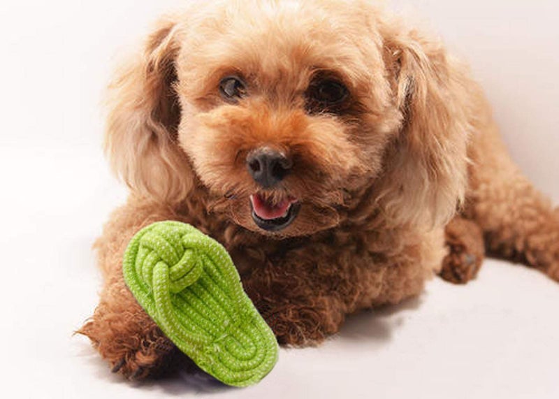 Sunglow Dog Toy Interactive Chewing Rope Ball Toys Natural Cotton Washable Durable Tug of War for Small Medium Dogs Puppies Training Playing Teeth Cleaning (Shoes) - Image 4